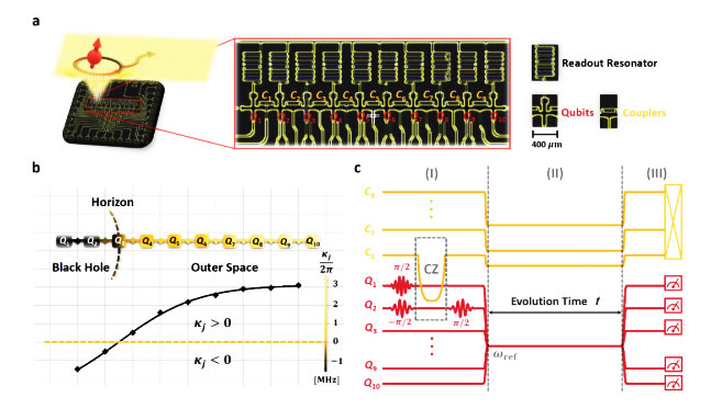 中国超导量子芯片上模拟黑洞的量子效应研究中获进展